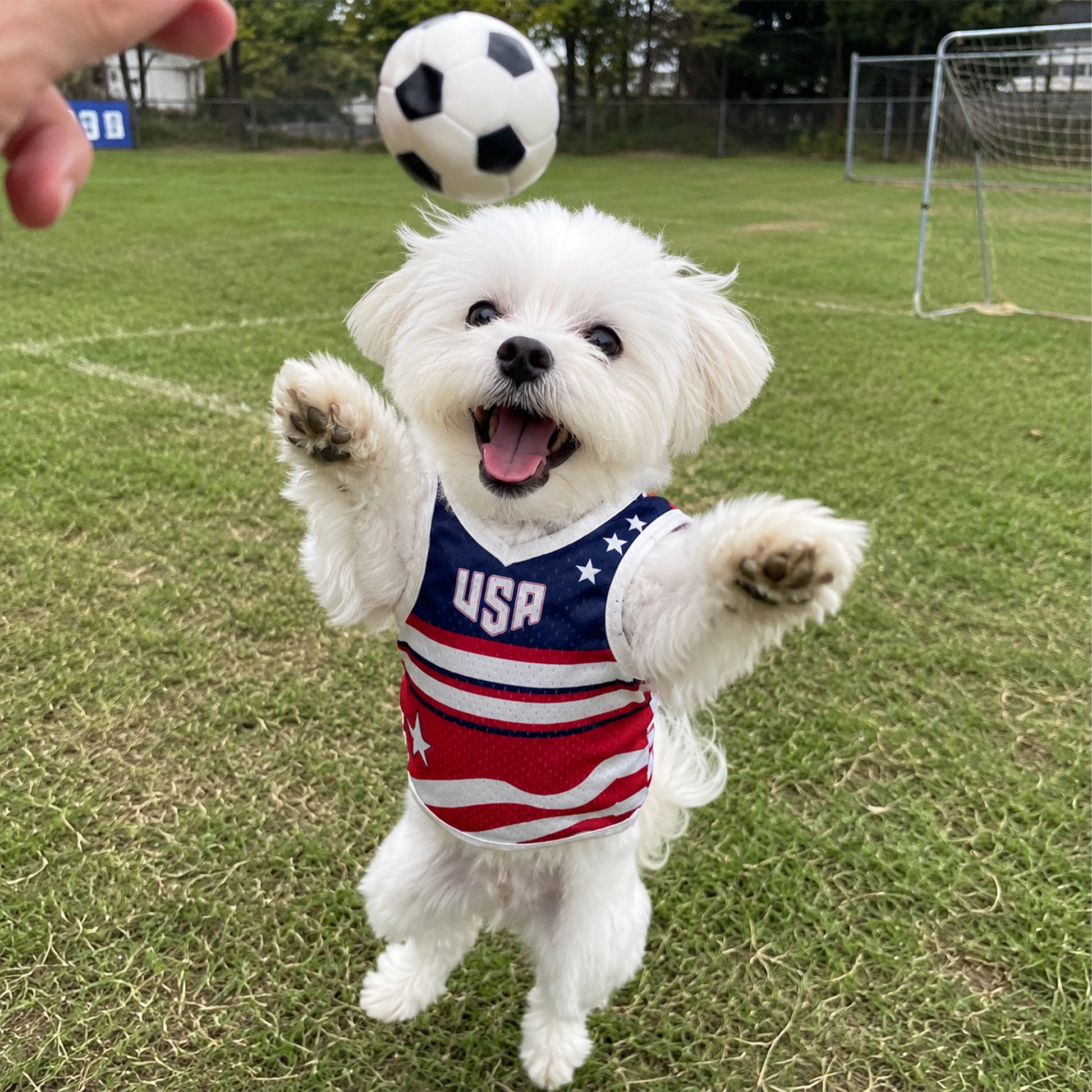 Custom Pet Soccer Jersey Mexico 2026 - Design Your Own